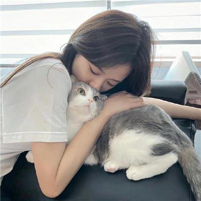 机械人求生记